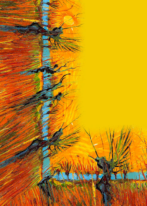 Runner Solaris